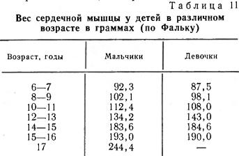 Вес сердечной мышцы у детей